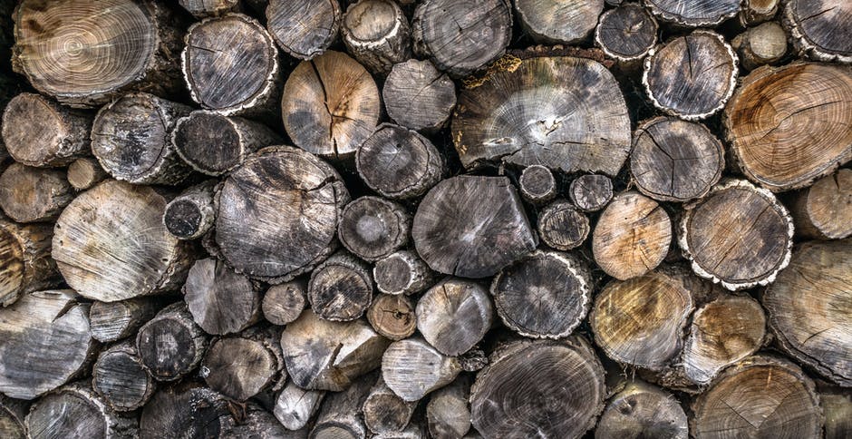 Logs logs